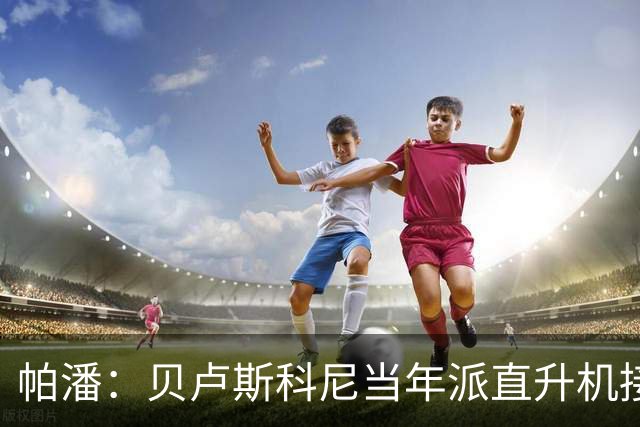 帕潘：贝卢斯科尼当年派直升机接我去米兰